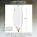 Image of Champagne Toasting Flute Rani