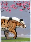Image of "Tiger-Panda" 8 x 10
