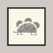 Image of Persian Tortoise