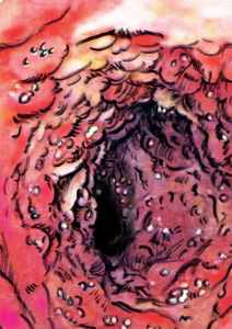 Image of Preying Mantiss