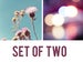 Image of blue & purple. set of two.