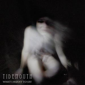 Image of MLTVR007 - TIDEMOUTH "What I Meant to Say" 7" EP