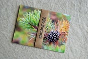 Image of postcards from maine