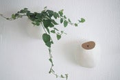 Image of flowerpot