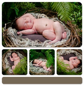 Image of Organic Realistic Birds Nest Photo Prop-Material option A.