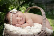 Image of Mauve Rounded Basket-6690