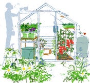 Image of Summer greenhouse