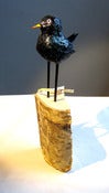 Image of small black