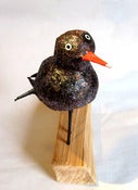 Image of large black