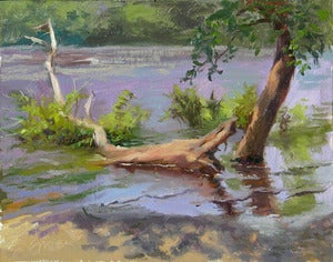 Image of Fallen Tree in the Mississippi River