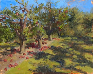 Image of Apple Orchard
