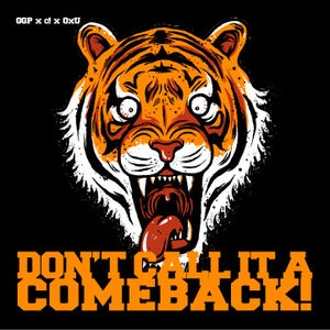 Image of Don't Call It A Comeback comp