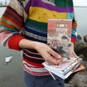 Image of Animal notebooks - Single