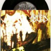 Image of Rotten Sound / Mastic Scum "Seeds of Hate" Split 7"