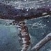 Image of Signed Limited Edition Giclee Art Print Gazing at the Stars