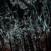 Image of Nekrasov / Ondo (Split-LP, Peasant Magik)