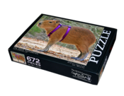 Image of 672A - Caplin Rous in Harness
