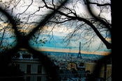 Image of The View