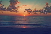 Image of Sunrise - Vintage
