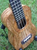 Image of Big Island Mango Soprano