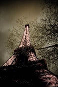 Image of Eiffel Tower at Night