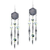 Image of Shoulder duster earrings- silver, citrus black