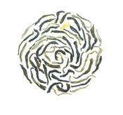Image of Jasmine Green, Organic and Fair-Trade