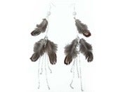 Image of Chained pheasant earrings (NEW)