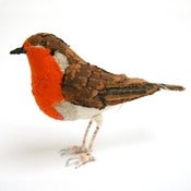 Image of ROBIN