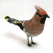 Image of WAXWING