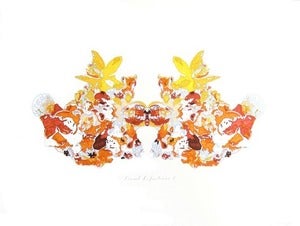 Image of Floral Reflection II