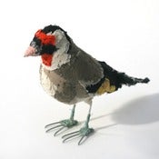Image of GOLDFINCH
