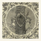 Image of Untitled (Nest)