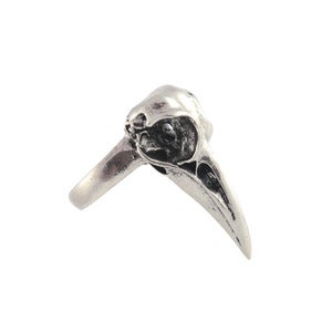 Image of Merla. Silver Raven Skull Ring