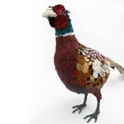 Image of PHEASANT