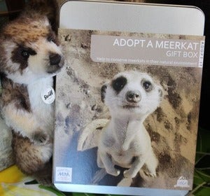 Image of Steiff Meerkat with Adoption Kit