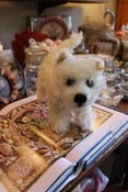 Image of New Steiff West Highland Terrier