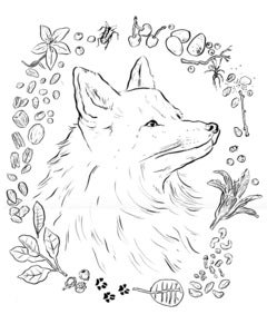 Image of FOX PRINT