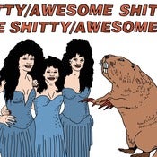 Image of Shitty/Awesome "S/T" - SSRTC-021 August 2011