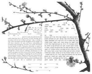 Cherry Blossoms, first bloom Ketubah