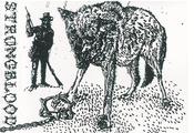 Image of The Beaten Paths of Youth