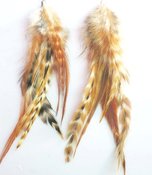 Image of Grizzly Earthtone Feather Earrings 