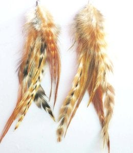 Image of Grizzly Earthtone Feather Earrings 