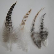 Image of Natural Feather Kit (10 feathers, 5 colors, 10 beads) 