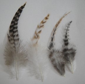 Image of Natural Feather Kit (10 feathers, 5 colors, 10 beads)