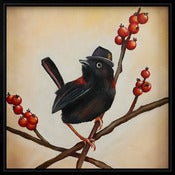 Image of English Gentleman #1 (Fairy Wren)