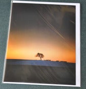 Image of Towton Fields Winter Greetings Cards