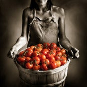 Image of Girl and Tomatoes