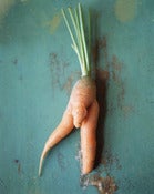Image of Carrot