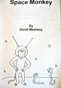 Image of Space Monkey